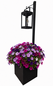 donica solarna.png